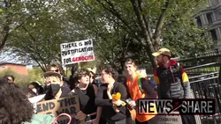 Amalia hochman__youtube